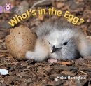 Moira Butterfield - What’s in the Egg?: Band 00/Lilac (Collins Big Cat) - 9780007512607 - V9780007512607
