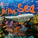 Becca Heddle - In the Sea: Band 01B/Pink B (Collins Big Cat) - 9780007512690 - V9780007512690