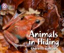 Charlotte Guillain - Animals in Hiding - 9780007512850 - V9780007512850
