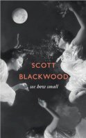 Scott Blackwood - See How Small - 9780007580934 - KTG0003630