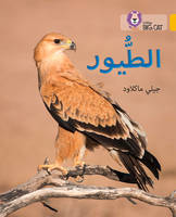 Jilly Macleod - Birds: Level 9 (Collins Big Cat Arabic Reading Programme) - 9780008156497 - V9780008156497