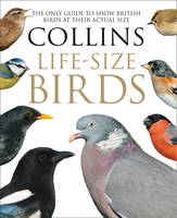 Paul Sterry - Collins Life-Size Birds: The Only Guide to Show British Birds at their Actual Size - 9780008181116 - V9780008181116