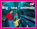 Jenny Giles - Big Sea Animals PM Plus Magenta 2 - 9780170095402 - V9780170095402