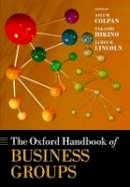 Asli M Colpan - The Oxford Handbook of Business Groups - 9780199660520 - V9780199660520