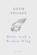 Adam Thorpe - Birds with a Broken Wing - 9780224079440 - V9780224079440