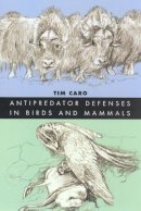Tim Caro - Antipredator Defenses in Birds and Mammals - 9780226094366 - V9780226094366