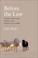 Cary Wolfe - Before the Law - 9780226922416 - V9780226922416
