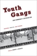 Robert Chaskin (Ed.) - Youth Gangs and Community Intervention: Research, Practice, and Evidence - 9780231146845 - V9780231146845
