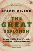 Brian Dillon - The Great Explosion - 9780241956762 - V9780241956762
