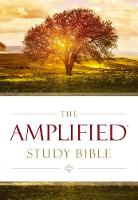 Thomas Nelson - Amplified Study Bible, Hardcover - 9780310440307 - V9780310440307