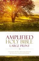 Zondervan - Amplified Holy Bible, Large Print: Captures the Full Meaning Behind the Original Greek and Hebrew - 9780310444039 - V9780310444039