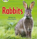 Vicky Shipton - Wild Rabbits, Pet Rabbits - 9780433019572 - V9780433019572