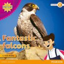 Riddle, Kate - My Gulf World and Me Level 4 Non-fiction Reader: Fantastic Falcons - 9780435135195 - V9780435135195