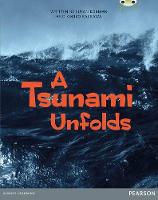 Susan Korman - Bug Club Comprehension Year 6 A Tsunami Unfolds (Bug Club Guided) - 9780435186579 - V9780435186579