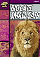 Dee Reid - Rapid Stage 1 Set A: Big Cats Small Cats (Series 1) - 9780435907846 - V9780435907846