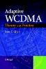 Savo G. Glisic - Adaptive WCDMA: Theory and Practice - 9780470848258 - V9780470848258