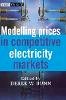 Derek W. Bunn (Ed.) - Modelling Prices in Competitive Electricity Markets - 9780470848609 - V9780470848609