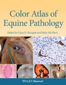 Claus D. Buergelt (Ed.) - Color Atlas of Equine Pathology - 9780470962848 - V9780470962848