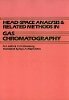 B. V. Ioffe - Head-space Analysis and Related Methods in Gas Chromatography - 9780471065074 - V9780471065074