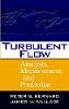 Peter S. Bernard - Turbulent Flow - 9780471332190 - V9780471332190