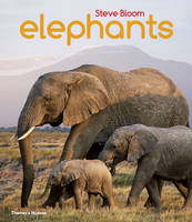Bloom, Steve - Elephants: A Book for Children - 9780500650554 - V9780500650554
