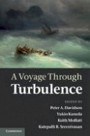 Peter Davidson - A Voyage Through Turbulence - 9780521149310 - V9780521149310