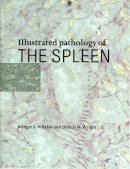 Bridget S. Wilkins - Illustrated Pathology of the Spleen - 9780521622271 - V9780521622271