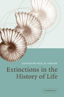 Paul D. Taylor - Extinctions in the History of Life - 9780521842242 - V9780521842242