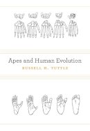Russell H. Tuttle - Apes and Human Evolution - 9780674073166 - V9780674073166