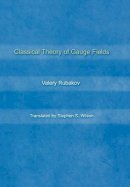 Valery Rubakov - Classical Theory of Gauge Fields - 9780691059273 - V9780691059273
