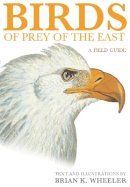 Brian K. Wheeler - Birds of Prey of the East: A Field Guide - 9780691117065 - V9780691117065