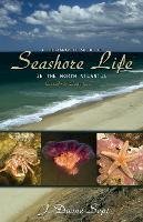 J. Duane Sept - A Photographic Guide to Seashore Life in the North Atlantic: Canada to Cape Cod - 9780691133195 - V9780691133195