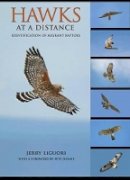 Jerry Liguori - Hawks at a Distance: Identification of Migrant Raptors - 9780691135595 - V9780691135595