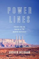 Andrew Needham - Power Lines: Phoenix and the Making of the Modern Southwest - 9780691139067 - V9780691139067