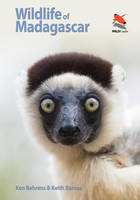 Ken Behrens - Wildlife of Madagascar - 9780691161716 - V9780691161716
