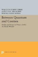 Alwyn Van Der Merwe - Between Quantum and Cosmos: Studies and Essays in Honor of John Archibald Wheeler - 9780691605548 - V9780691605548