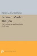 Steven M. Wasserstrom - Between Muslim and Jew: The Problem of Symbiosis under Early Islam - 9780691608976 - V9780691608976