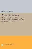 Hermann Rebel - Peasant Classes: The Bureaucratization of Property and Family Relations Under Early Habsburg Absolutism, 1511-1636 - 9780691613727 - V9780691613727