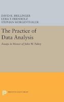 David R. Brillinger (Ed.) - The Practice of Data Analysis: Essays in Honor of John W. Tukey - 9780691631240 - V9780691631240