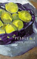 John Fuller - Pebble and I - 9780701184919 - V9780701184919