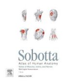 Paulsen, Friedrich, Waschke, Jens - Sobotta Tables of Muscles, Joints and Nerves, English: Tables to 15th ed. of the Sobotta Atlas, 1e - 9780702052545 - V9780702052545