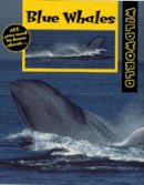 P Miller-Schroeder - Blue Whales (Wild World) - 9780713657487 - V9780713657487