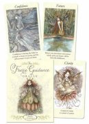 Cassidy, Paulina - The Faerie Guidance Oracle - 9780738719689 - V9780738719689