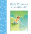 Mary Joslin - Bible Promises for a Little Boy - 9780745964041 - V9780745964041