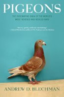 Andrew D. Blechman - Pigeons: The Fascinating Saga of the World´s Most Revered and Reviled Bird - 9780802143280 - V9780802143280