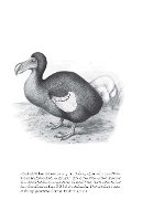 B.j. Hollars - Flock Together: A Love Affair with Extinct Birds - 9780803296428 - V9780803296428
