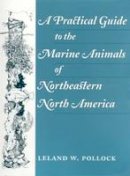 Leland W. Pollock - A Practical Guide to the Marine Animals of Northeastern North America - 9780813523996 - V9780813523996