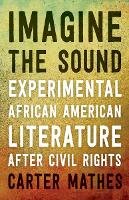 Carter Mathes - Imagine the Sound: Experimental African American Literature after Civil Rights - 9780816693061 - V9780816693061