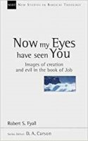 Robert S Fyall - NOW MY EYES HAVE SEEN YOU images of Creation and Evil in the Book of Job - 9780851114989 - V9780851114989