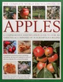 Mikolajski, Andrew - The Complete World Encyclopedia of Apples: A Comprehensive Identification Guide To Over 400 Varieties Accompanied By 95 Scrumptious Recipes - 9780857238658 - V9780857238658